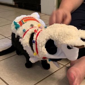 Meet your Posher, Chantal